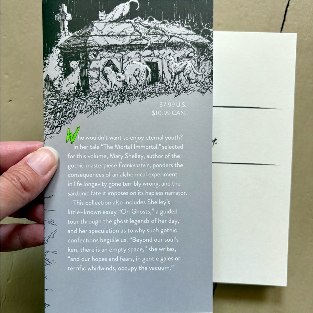 2 Edgar Allan Poe Mary Shelley Gothic Tales Goth Gift Horror Story Spooky - Picture 2 of 12
